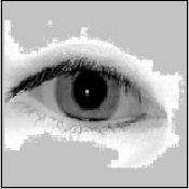 Applying Iris Images to PIV Cards