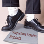 Dancing with the SARs - an Investigator's Guide to Suspicious Activity Reports