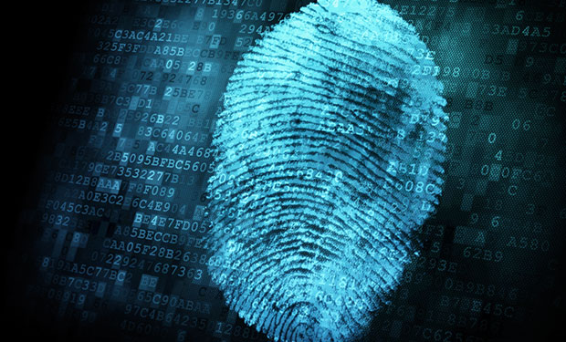 Developing a Digital Forensics Career