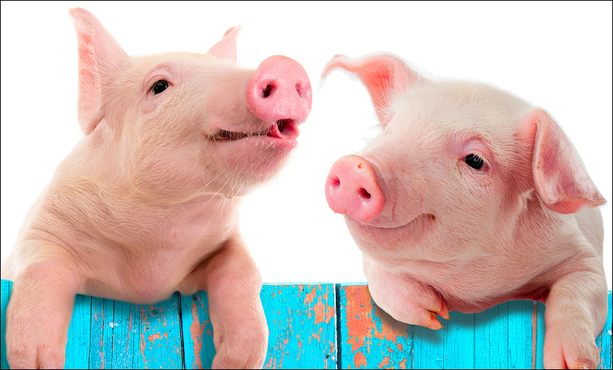 DOJ Closes Pig-Butchering Domains Tied to Crypto Scams