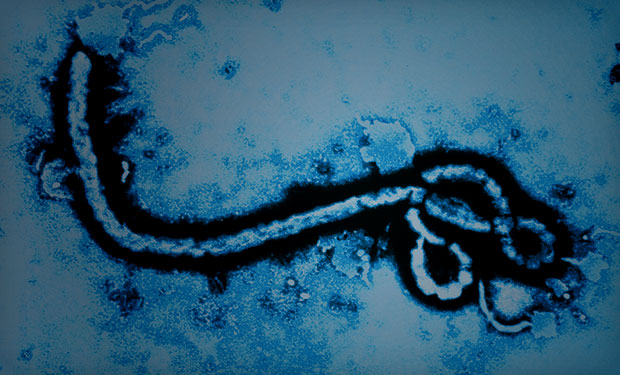 Ebola: Protecting Patients, Data