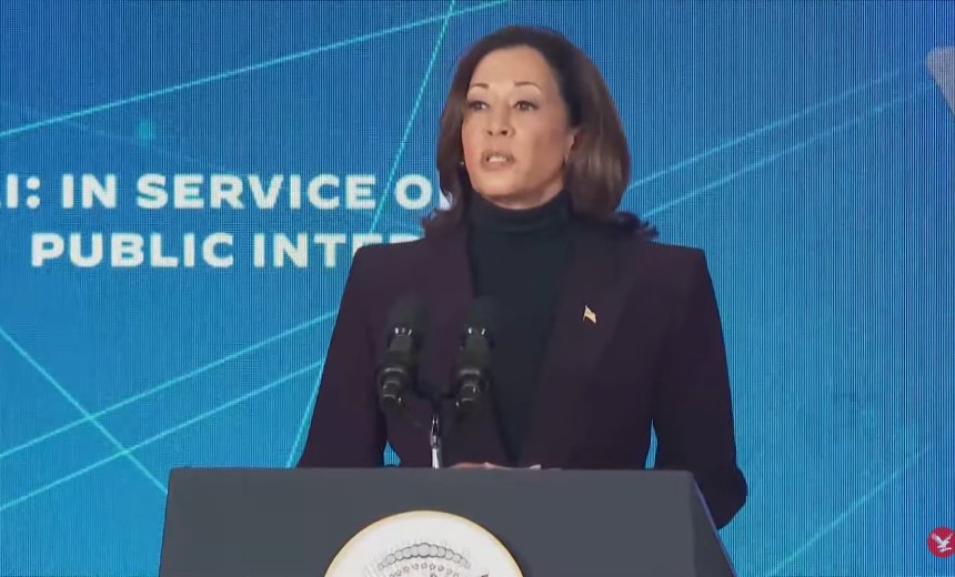 Ensuring Privacy in AI Systems Is Critical, VP Harris Says