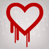 Heartbleed Bug: What You Need to Know