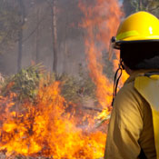 Impact of Texas Wildfires