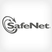Industry News: SafeNet Appoints CEO