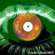 Iris Scans Improve as Means of Identification