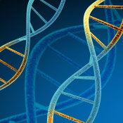 Panel Urges Genomic Privacy Measures