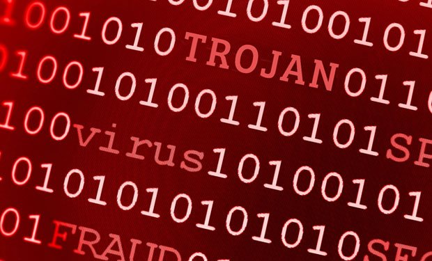 Police Disrupt Banking Malware Botnet