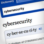 Professionalizing Cybersecurity Occupations