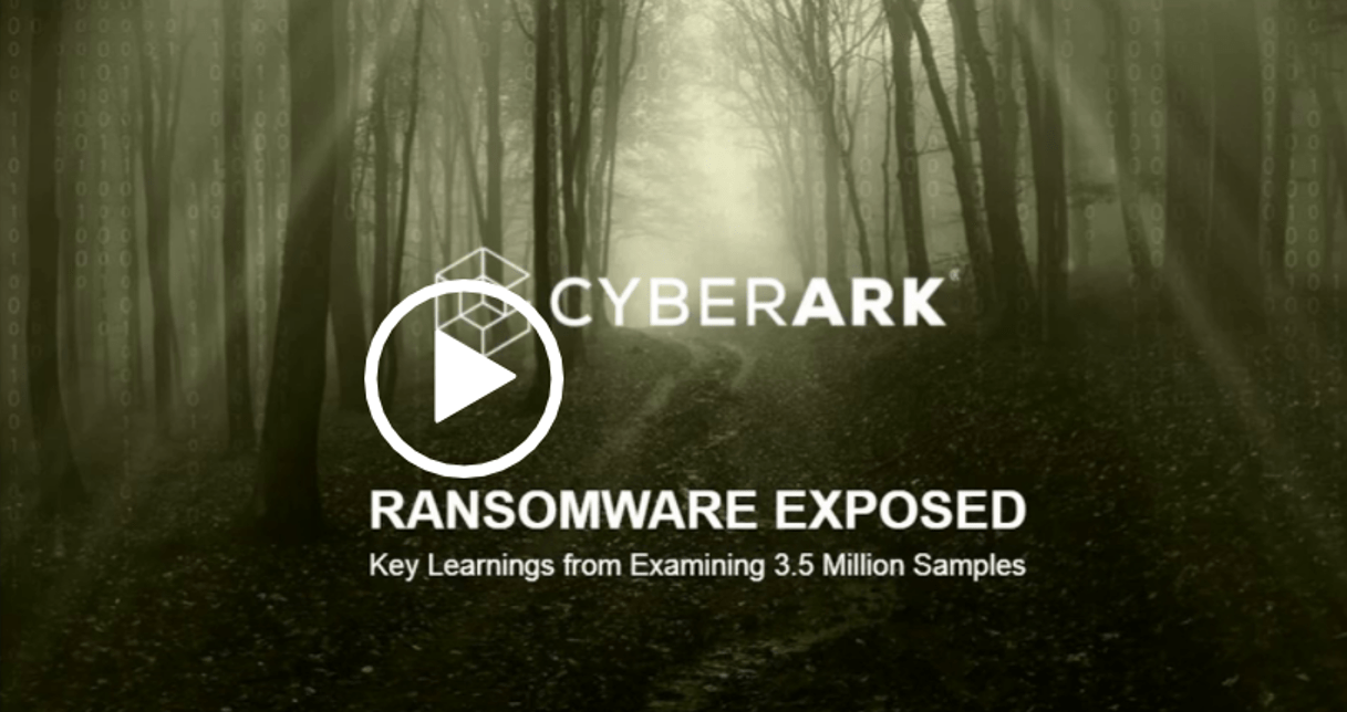 Ransomware Exposed: Key Learnings from Examining 3.5 Million Samples