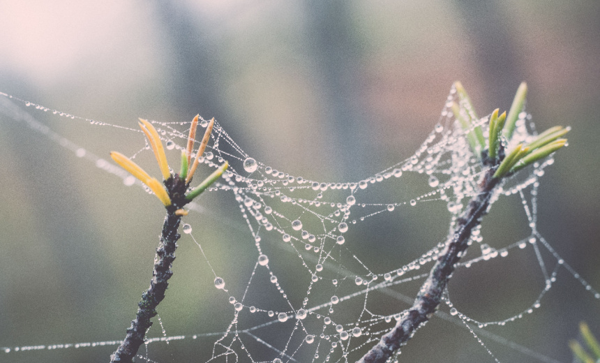Scattered Spider Targeting American Insurance Firms