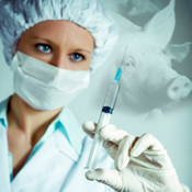 Swine Flu: 5 Tips to Ensure Pandemic Preparation