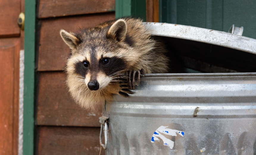 Ukrainian Pleads Guilty for Role in Raccoon Stealer Malware