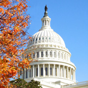 Will New Congress Alter HITECH Plans?